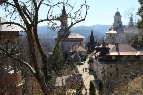Pelerinaj la biserici și mănăstiri din Țara Lăpușului Poza 112646