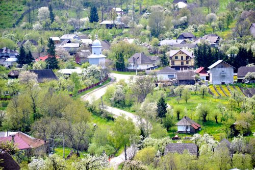 Obiceiuri de Florii în Moldova Poza 112130