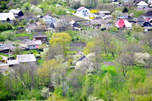 Obiceiuri de Florii în Moldova Poza 112139