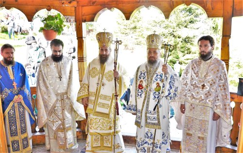 Întâlnirea tinerilor ortodocși din Episcopia Devei și Hunedoarei Poza 118370
