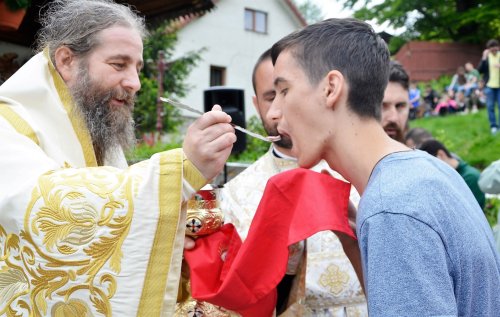 Întâlnirea tinerilor ortodocși din Episcopia Devei și Hunedoarei Poza 118372