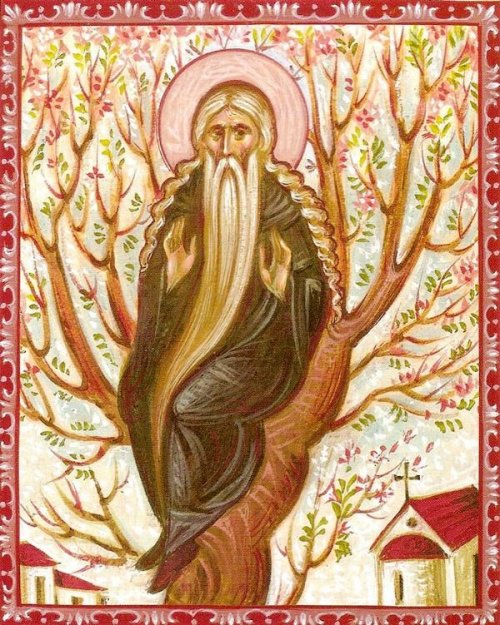 Sf. Cuv. David din Tesalonic; Sf. Ier. Ioan, Episcopul Goţiei Poza 119546