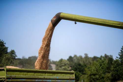 Agricultura a absorbit peste 4,5 miliarde de euro Poza 122266