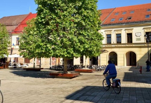 În umbra lui Shakespeare în oraşul Baia Mare Poza 122443