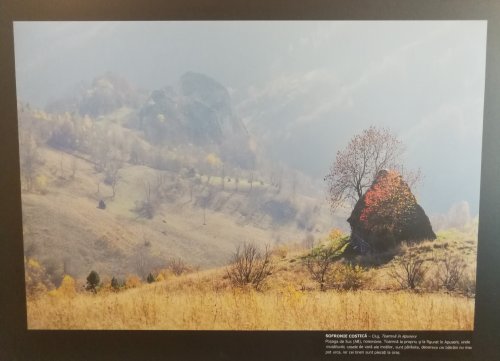 Satul românesc în ipostaze contemporane Poza 125908
