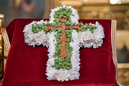 „Crucea este semnul unei lucrări dătătoare de viaţă” Poza 126306