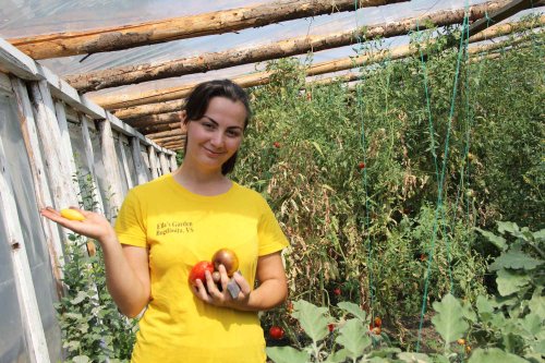 Doi tineri cultivă 120 de soiuri  de tomate la Bogdăniţa Poza 127148