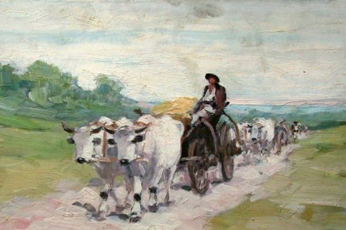 Boul Ghiocel, pictat de Grigorescu la Câmpina  Poza 127943