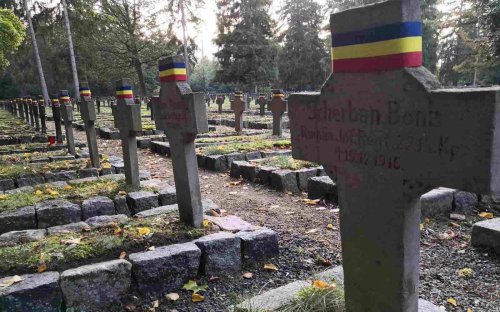 Tabără de îngrijire a mormintelor eroilor români Poza 128105