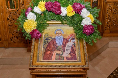 Acatistul Sfântului Cuvios Antonie de la Iezerul Vâlcii (23 Noiembrie) Poza 277907