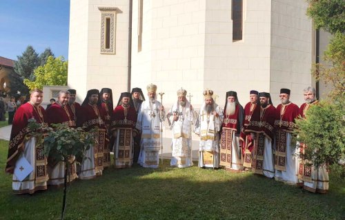 Sărbătoarea Sfinților Mărturisitori Ardeleni la Alba Iulia Poza 130019