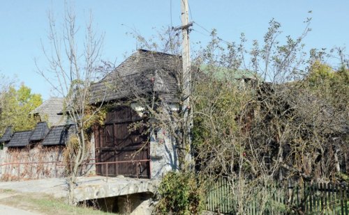 Drumuri prin Brăduleț, Brădet și Galeș Poza 131819