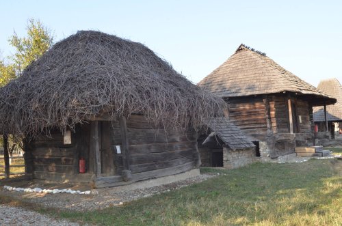 Istorie, etnografie și atracții pentru copii la Muzeul Golești Poza 133429