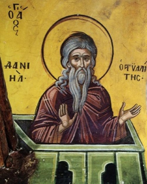 Sf. Cuv. Daniil Stâlpnicul şi Luca cel Nou Poza 134686