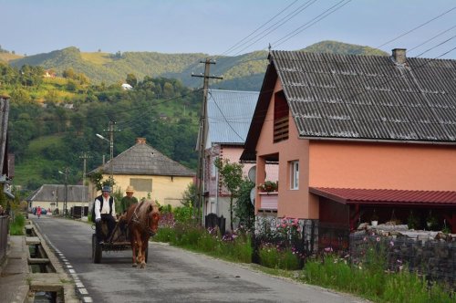 Tipuri de sate românești și noi modele culturale Poza 134944