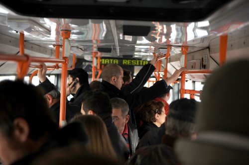 Încă trei linii de autobuz în Bucureşti-Ilfov Poza 136490