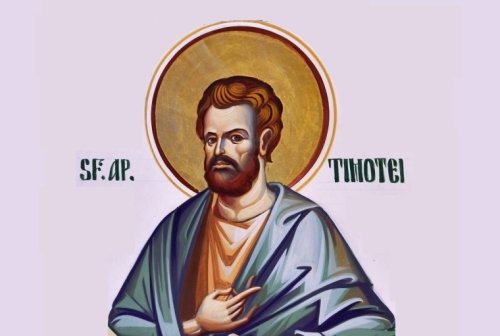 Sf. Ap. Timotei; Sf. Cuv. Mc. Anastasie Persul Poza 137712