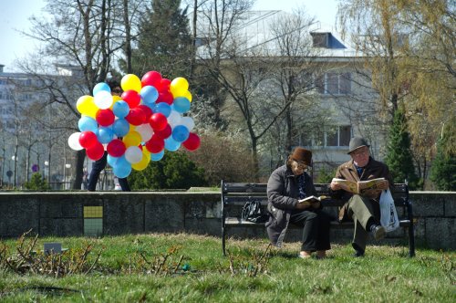 Telefonul vârstnicului, linie naţională şi gratuită Poza 138083