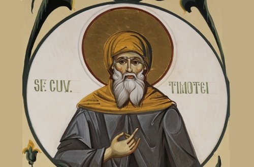 Sf. Cuv. Timotei;  Sf. Ier. Eustatie, Arhiepiscopul Antiohiei  Poza 139621