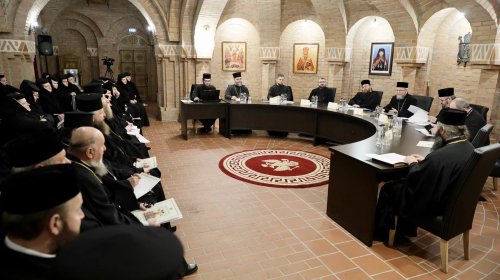 Şedința administrativă în Episcopia Maramureșului și Sătmarului Poza 141202