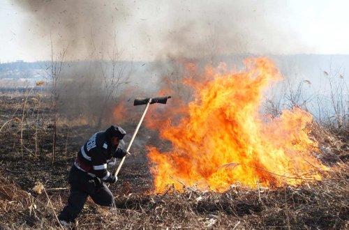 Pompierii fac apel la populaţie să nu mai incendieze vegetația Poza 141284