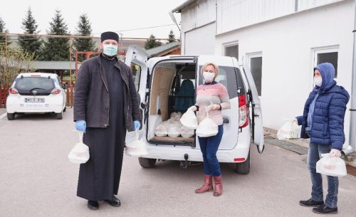 Materiale de protecţie pentru spitale şi hrană pentru persoanele vulnerabile în Alba şi Mureş Poza 142512