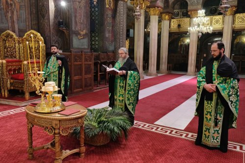 Sfințirea ramurilor de salcie și de finic la Catedrala Patriarhală Poza 142586