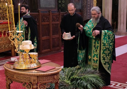 Sfințirea ramurilor de salcie și de finic la Catedrala Patriarhală Poza 142588