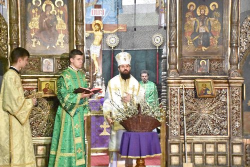 Slujire arhierească la Catedrala Mitropolitană din Cluj-Napoca Poza 142774