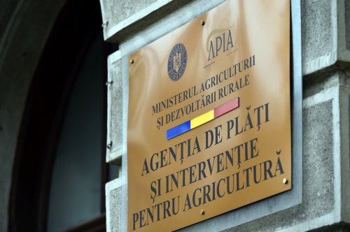 Cererile pentru ajutoarele în agricultură, până joi Poza 143706