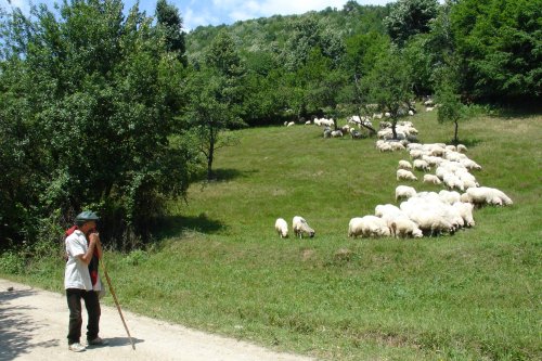 Lecţia unui virus, adevărul despre om şi lume Poza 143922