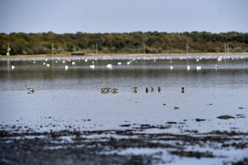 Noi stațiuni turistice Poza 144430