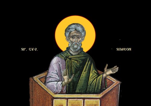 Sfântul Cuvios Simeon cel din Muntele Minunat  Poza 145376