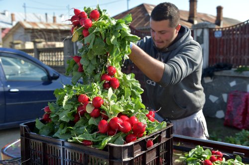 Fermierii trebuie să înţeleagă nevoia de asociere  Poza 145623