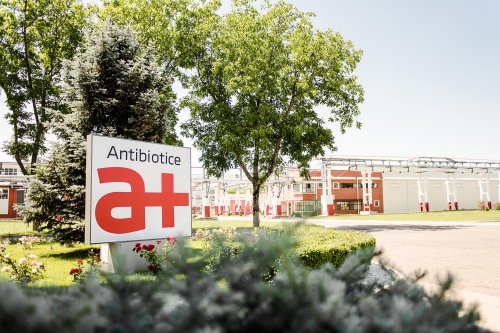 „Antibiotice”, garantul sănătății românilor în perioada pandemiei Poza 148174