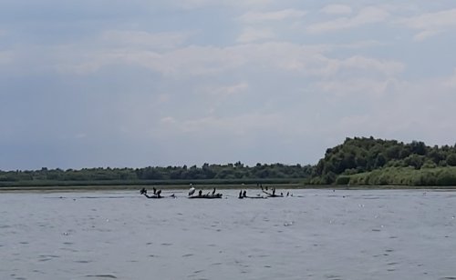Plimbare în Delta Dunării  Poza 151397