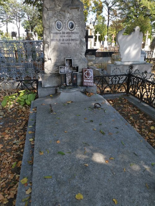 Cimitirul „Eternitatea” din Iași, un muzeu al vieților veșnice Poza 153277