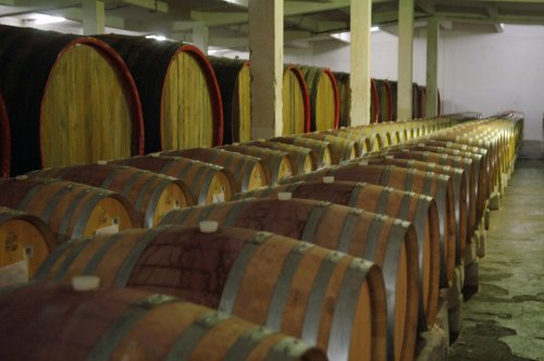 Ajutor pentru producătorii de vin Poza 158058