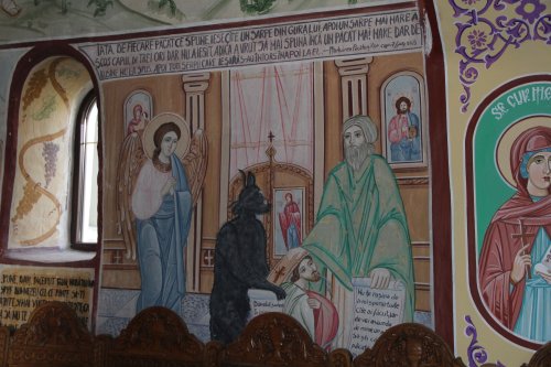 Daruri sădite de Sfântul Nicolae  la Bohotin Poza 158633