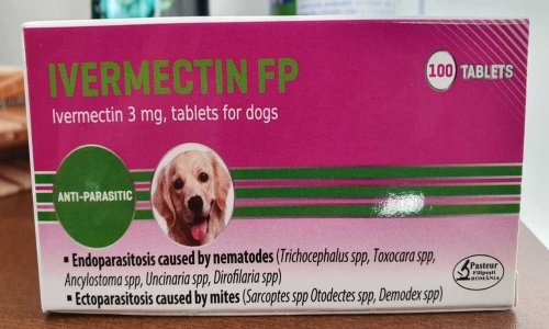 Avertisment privind un medicament de uz veterinar: Nu se folosește împotriva COVID-19! Poza 162821