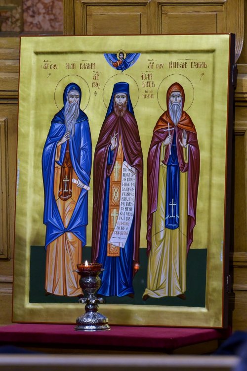Întrunirea Adunării Naționale Bisericești la Palatul Patriarhiei din București  Poza 164602