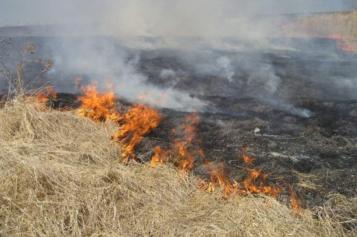 Arderea ilegală a miriștilor îi poate lăsa pe fermieri fără subvenții  Poza 168543