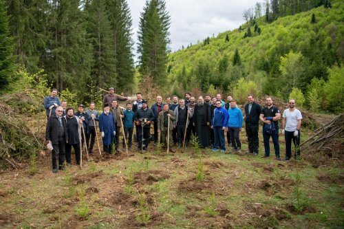 Preoți din Fălticeni implicați în regenerarea forestieră
