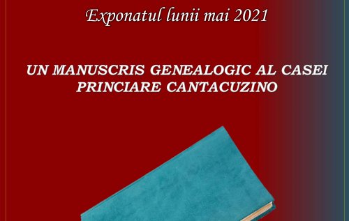 Manuscris genealogic Poza 172017