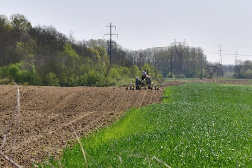 Agricultorii cer soluţii rezonabile pentru protejarea culturilor Poza 173288