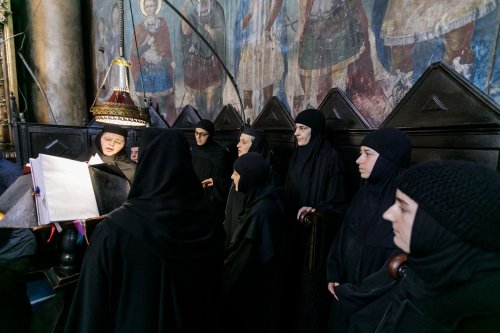 Maica Siluana Vlad a fost înmormântată la Mănăstirea Frumoasa  Poza 173661