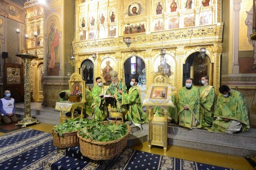 Duminica Cincizecimii la Catedrala Arhiepiscopală din Târgoviște Poza 174663