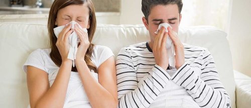 Semnalul specialiştilor privind gripa sezonieră  Poza 175079