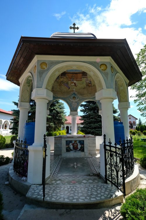 Icoana făcătoare de minuni a Maicii Domnului de la Mănăstirea Ghighiu Poza 177063