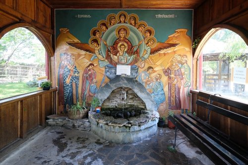 Icoana făcătoare de minuni a Maicii Domnului de la Mănăstirea Ghighiu Poza 177105